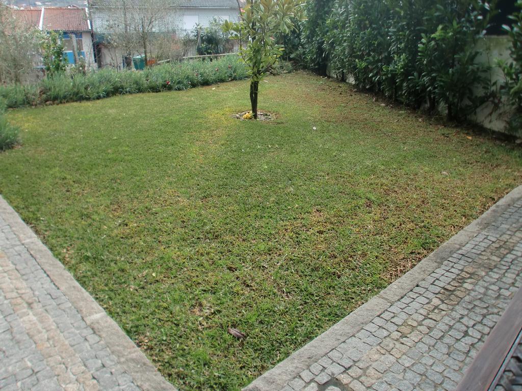 Casa De Coelhosa Otel Vale de Cambra Dış mekan fotoğraf